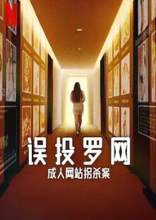 误投罗网:成人网站拐杀案