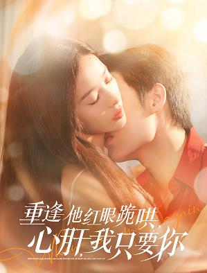重逢他红眼跪哄,心肝,我只要你