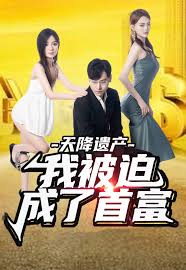 天降遗产,我被迫成了首富第
